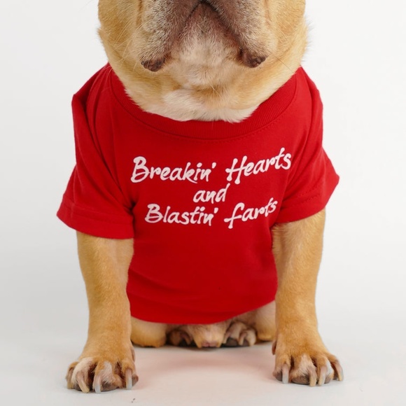 Club Huey Breakin' Hearts & Blastin' Farts Dog Tee - Picture 1 of 6